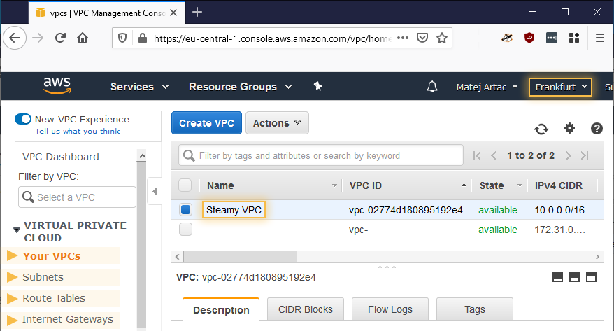 Newly created resources as can be seen in the VPC Console.