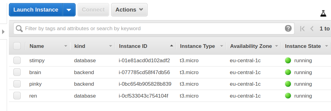 AWS EC2 instance listing for our example.