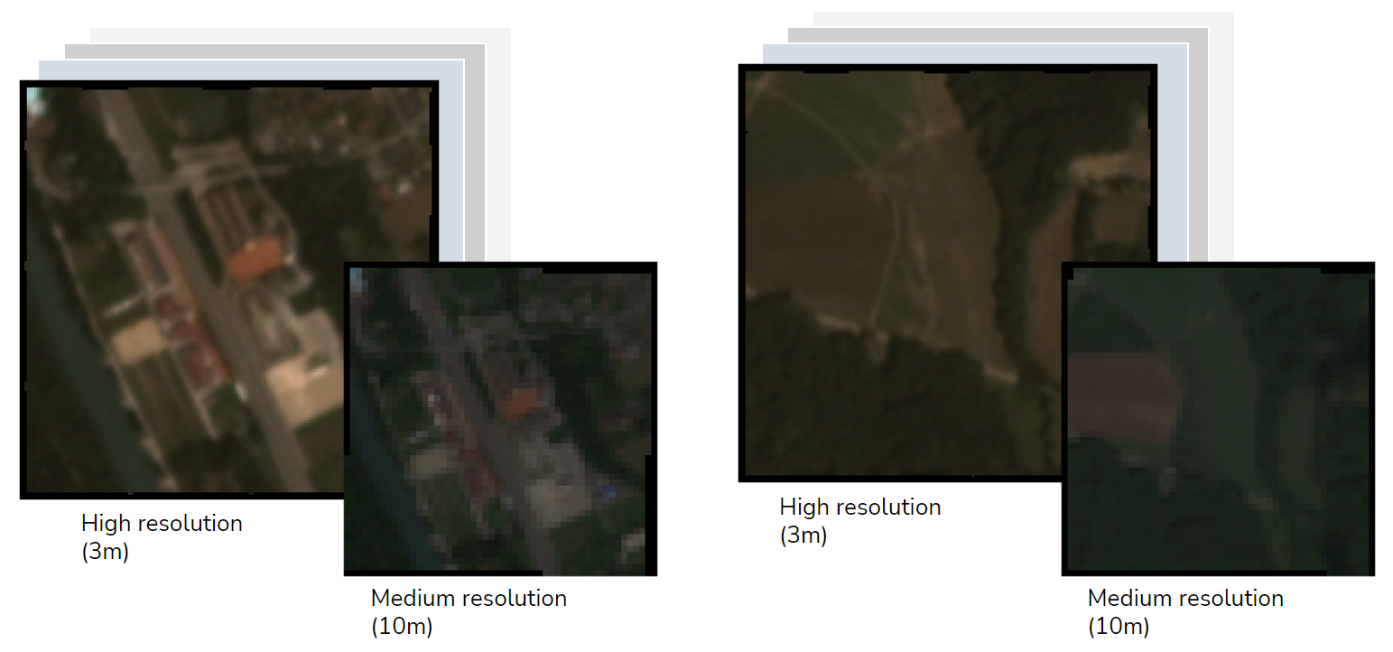 Figure 1: Example satellite imagery in high and medium resolution representing different forms of vegetation.
